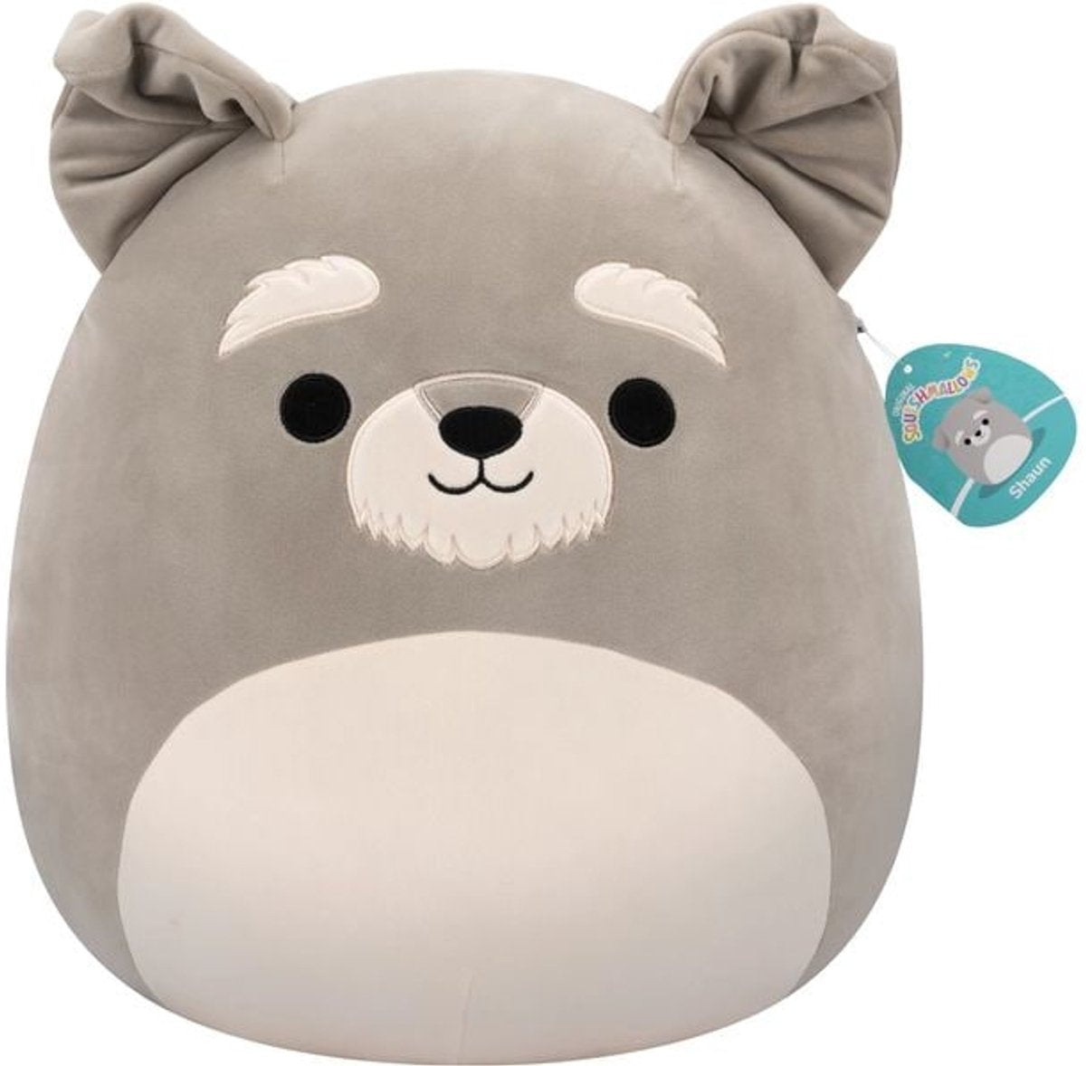 Peluche Squishmallows Shaun Schnauzer - gris - 40 cm