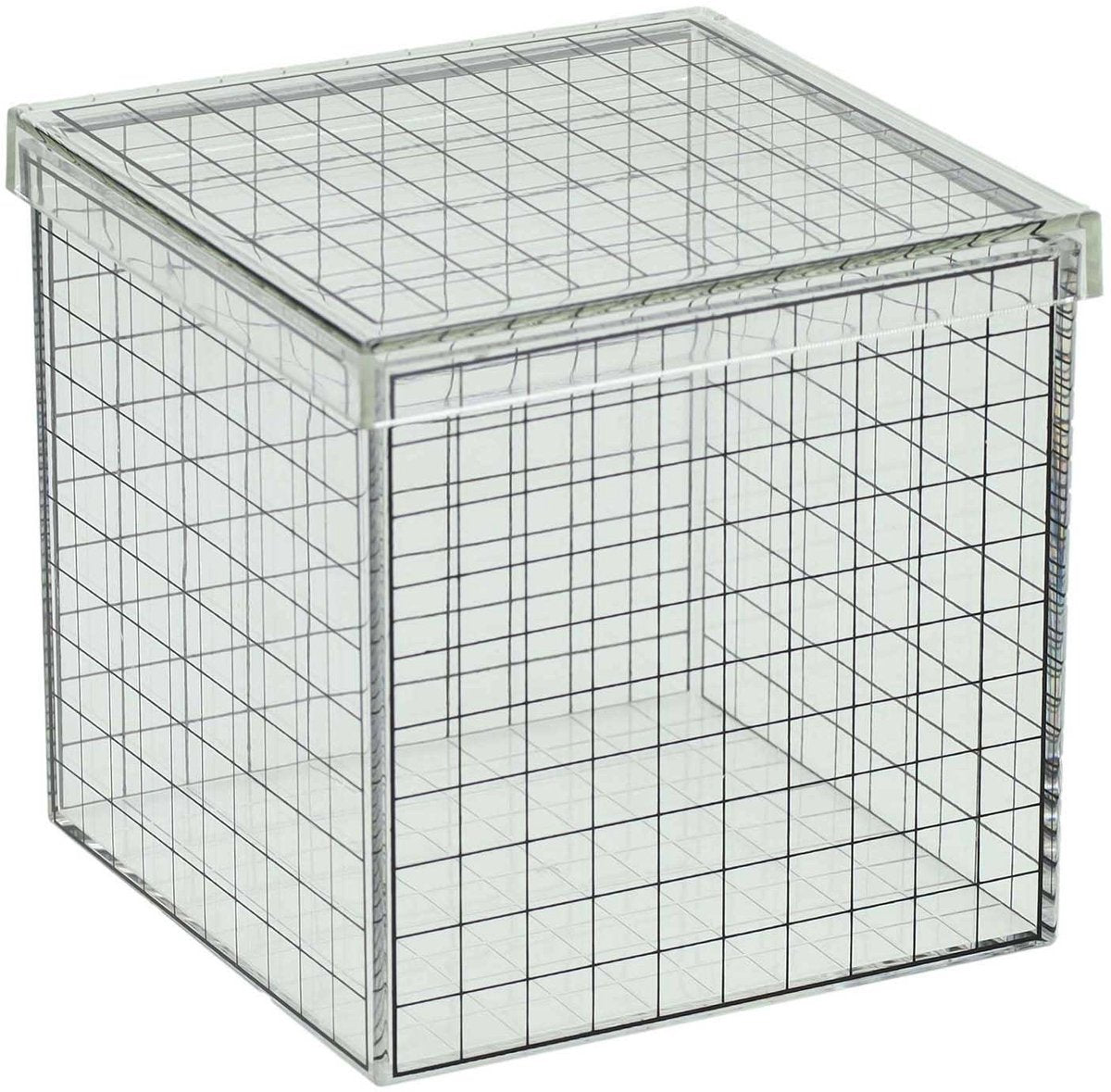 Cube grille 3D transparent - 10x10x10 cm