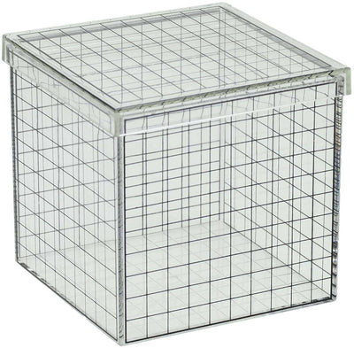 Cube grille 3D transparent - 10x10x10 cm