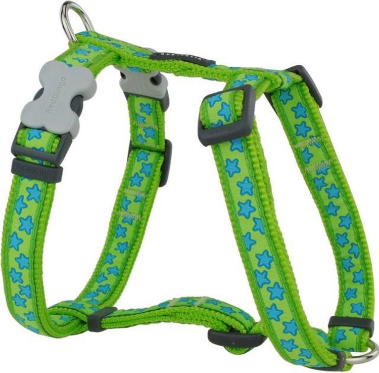 Harnais pour chien Red Dingo 15 mm tour de cou 30-48 cm corps 36-54 cm dh-st-lg-15