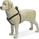 Beeztees - harnais pour chien - cuir mac - noir - 35-60 cm