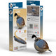 Puzzle 3D Eugy - cailles - oiseaux - durable - collectionnez-les tous - 6 ans