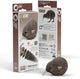 Puzzle 3D Eugy - marron kiwi - oiseaux - durable - collectionnez-les tous - 6 ans