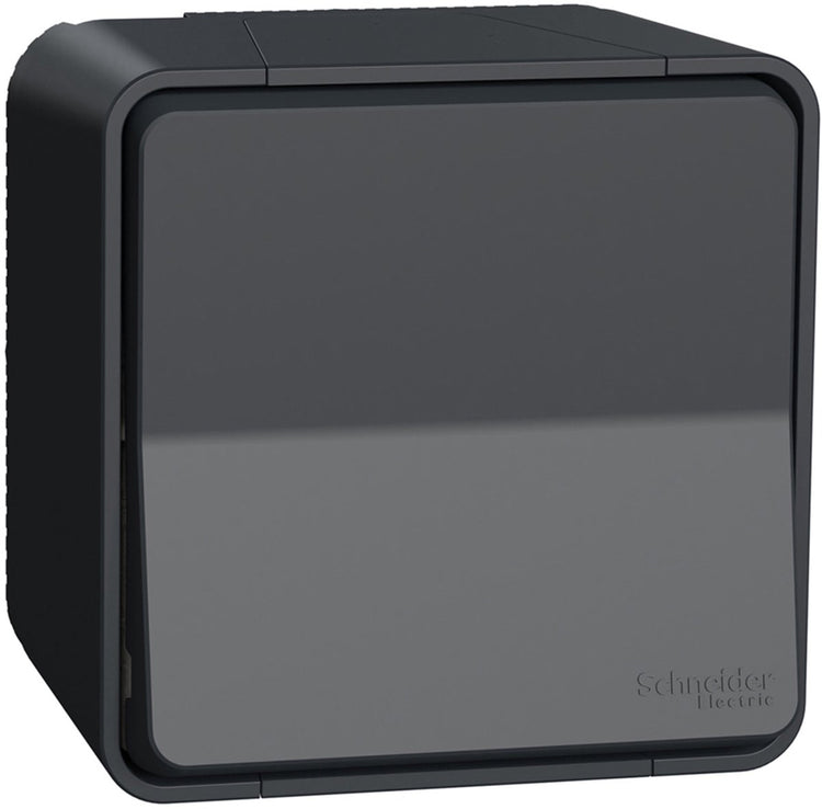 Interrupteur inverseur extérieur Schneider electric - en saillie - anthracite - style mureva - - mur35021