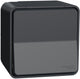 Interrupteur inverseur extérieur Schneider electric - en saillie - anthracite - style mureva - - mur35021