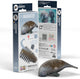 Puzzle 3D Eugy - lamantin - animaux marins - durable - collectionnez-les tous - 6 ans