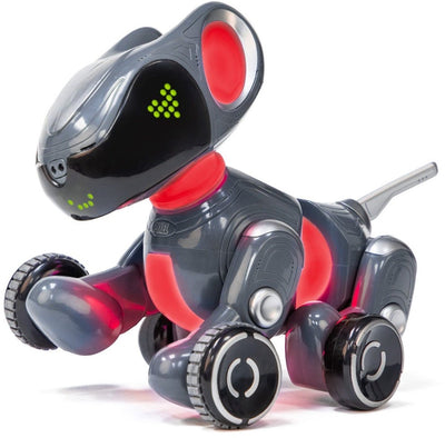 Ressources d'apprentissage pyxel™ - le meilleur ami du codeur - robot de programmation 8+ ans - 8+