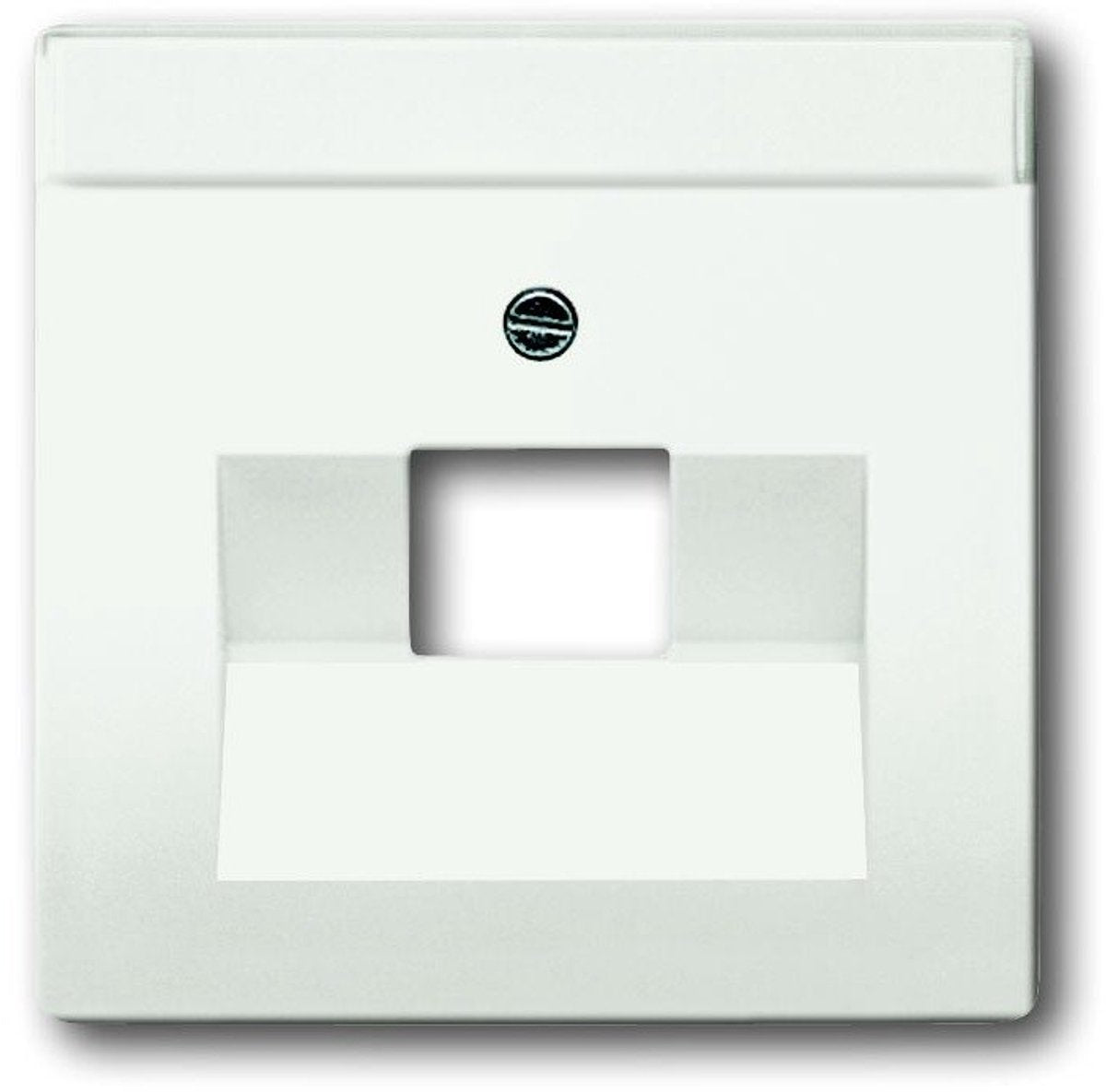 Busch-Jaeger Busch Jaeger Future Plaque de recouvrement linéaire 1xRJ45 RJ11 Blanc studio mat 1803-884
