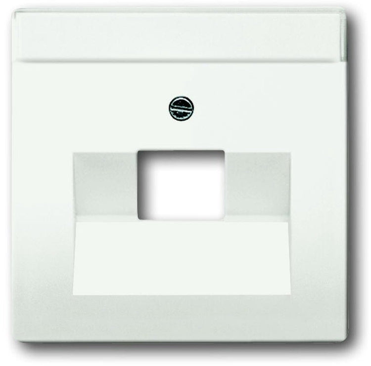 Busch-Jaeger Busch Jaeger Future Plaque de recouvrement linéaire 1xRJ45 RJ11 Blanc studio mat 1803-884