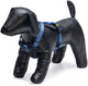 Beeztees parinca premium y-harness - harnais pour chien - nylon - bleu - 37-40 cm x 15 mm
