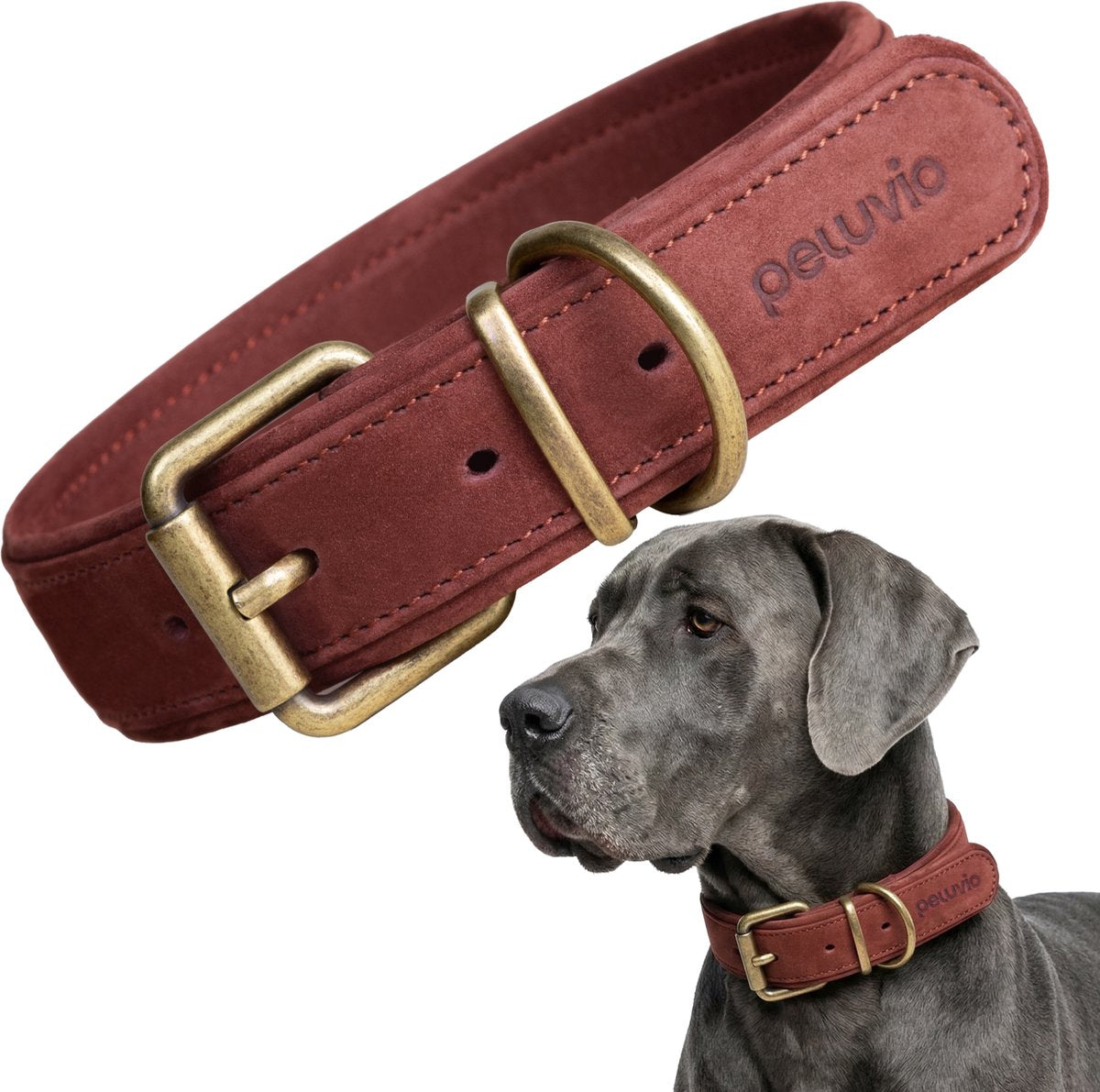 Peluvio rexor – collier pour chien en cuir – marron – l-xl 53-63 cm – 4 cm de large – collier réglable en cuir de vachette – boucle en cuivre – pour très grands chiens