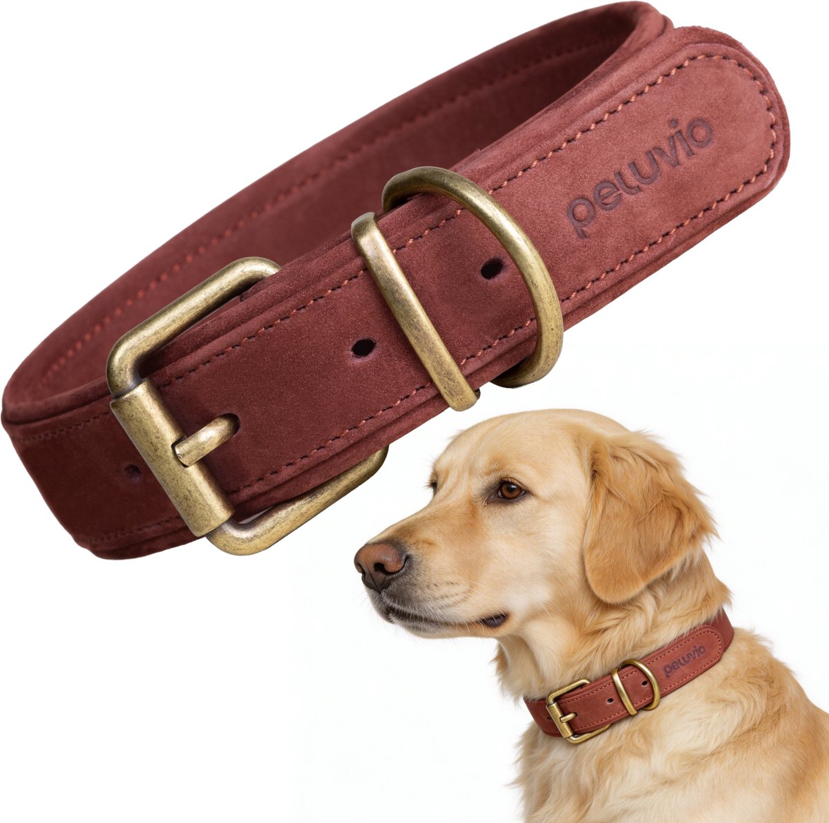 Peluvio rexor – collier pour chien en cuir – marron – l 44-54 cm – 4 cm de large – collier réglable en cuir de vachette – boucle en cuivre – pour grands chiens