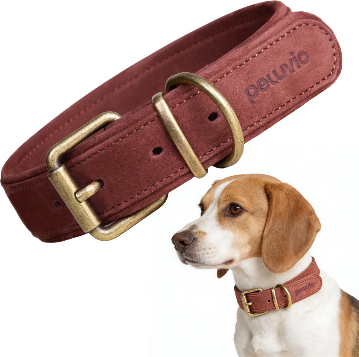 Peluvio rexor – collier pour chien en cuir – marron – m 36-44 cm – 3 cm de large – collier réglable en cuir de vachette – boucle en cuivre – pour chiens de taille moyenne