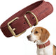 Peluvio rexor – collier pour chien en cuir – marron – m 36-44 cm – 3 cm de large – collier réglable en cuir de vachette – boucle en cuivre – pour chiens de taille moyenne