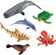 Ressources d'apprentissage sur les animaux marins géants - 3+