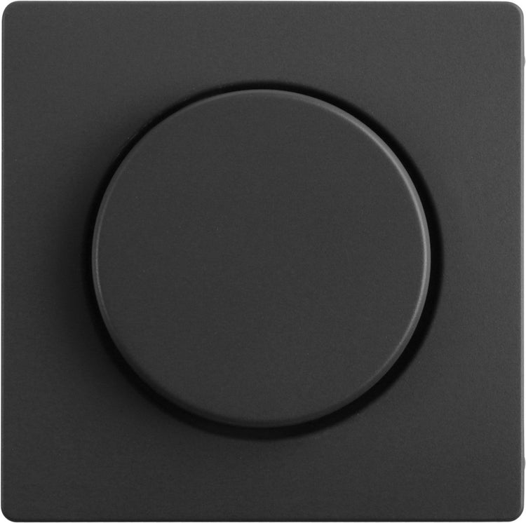 Plaque centrale Berker q1 - avec bouton pour variateur - anthracite