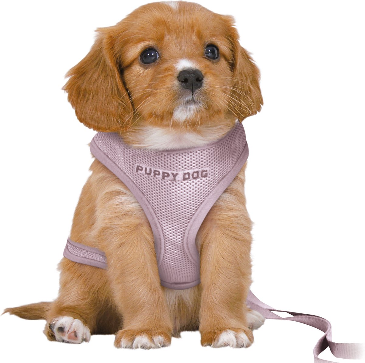 Trixie Dog Eigen Junior Puppy Softhuik avec Riem Lila