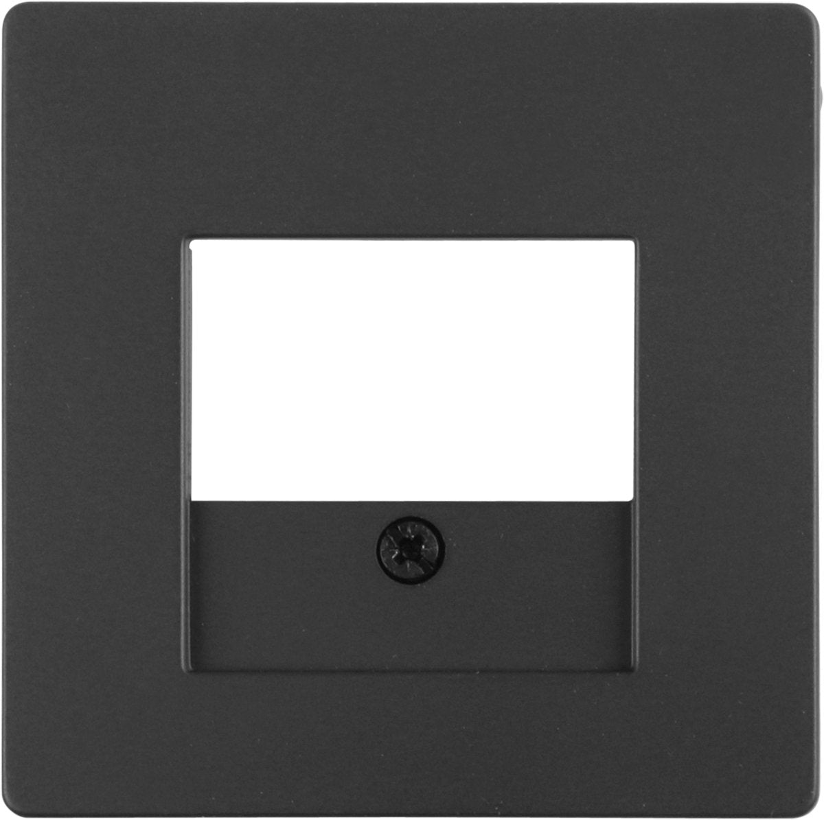 Plaque de recouvrement Berker Q1 - TAE USB - couleur inox