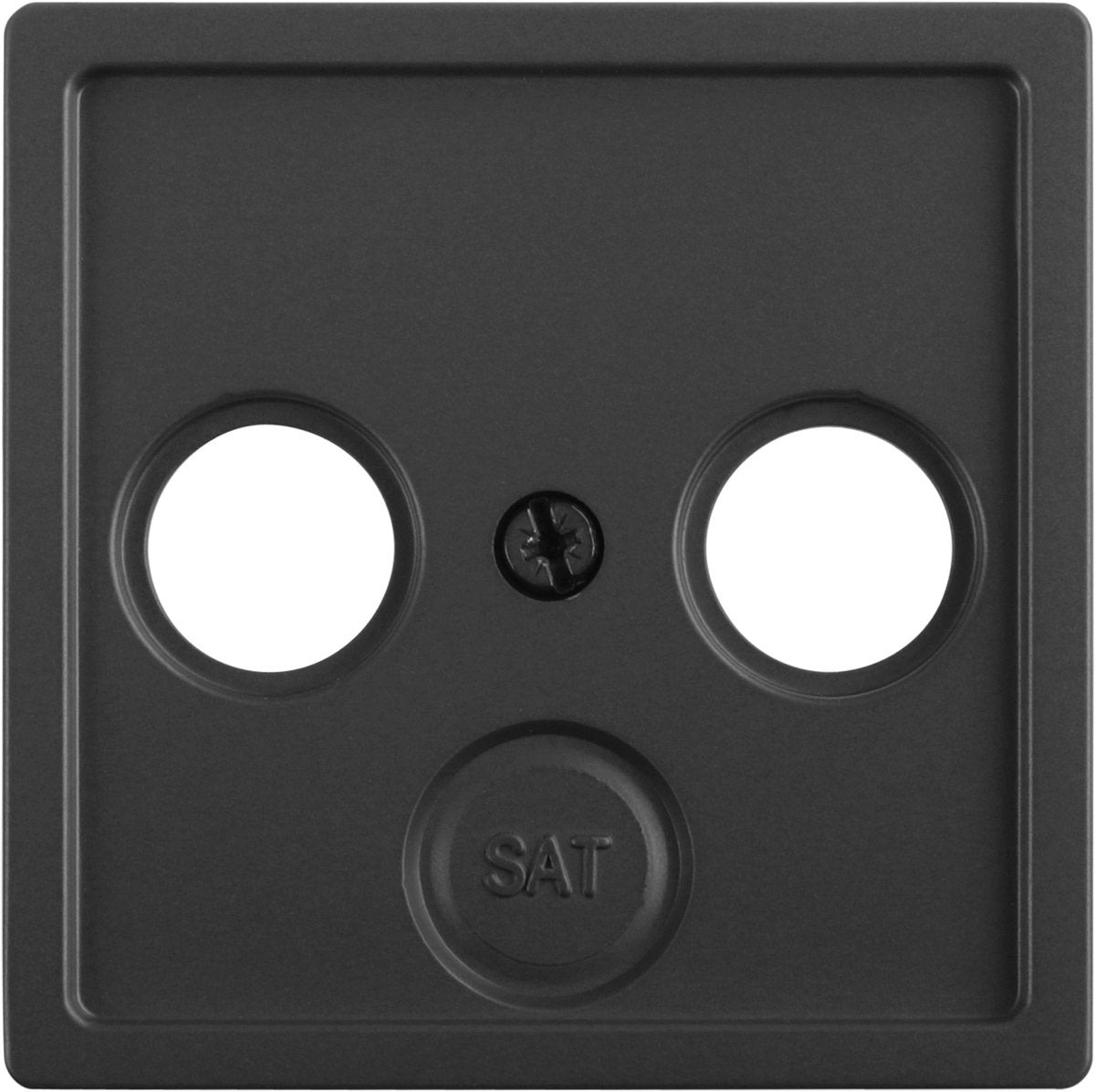 Plaque centrale Berker q1 - radio TV - anthracite