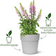 Elho vibia Straight Round 25 - pot de fleur d'extérieur - ø 24,3 x h 23,2 cm - anthracite