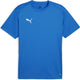 Maillot de sport homme Puma teamgoal jersey - limonade bleu électrique - blanc - team royal