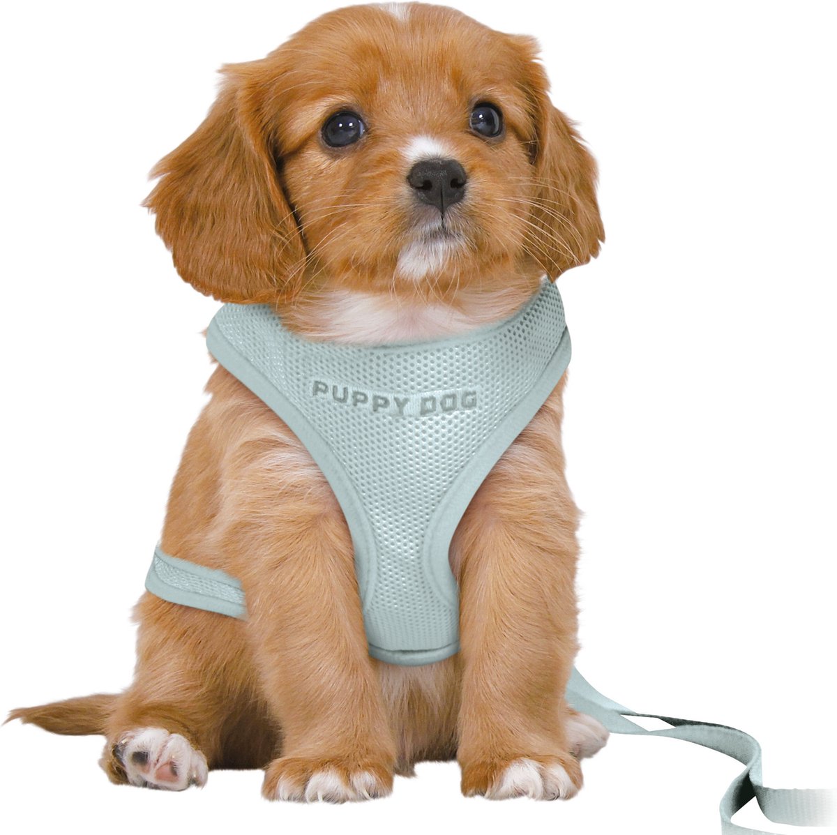 Trixie Dog Eigen Junior Puppy Softhire avec Riem Mintgroen