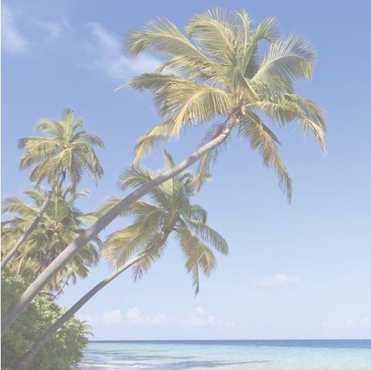 Sous-main Sigel - plage - 59,4x41cm - avec calendrier 2023 2024 2025 - bloc-notes - si-ho470