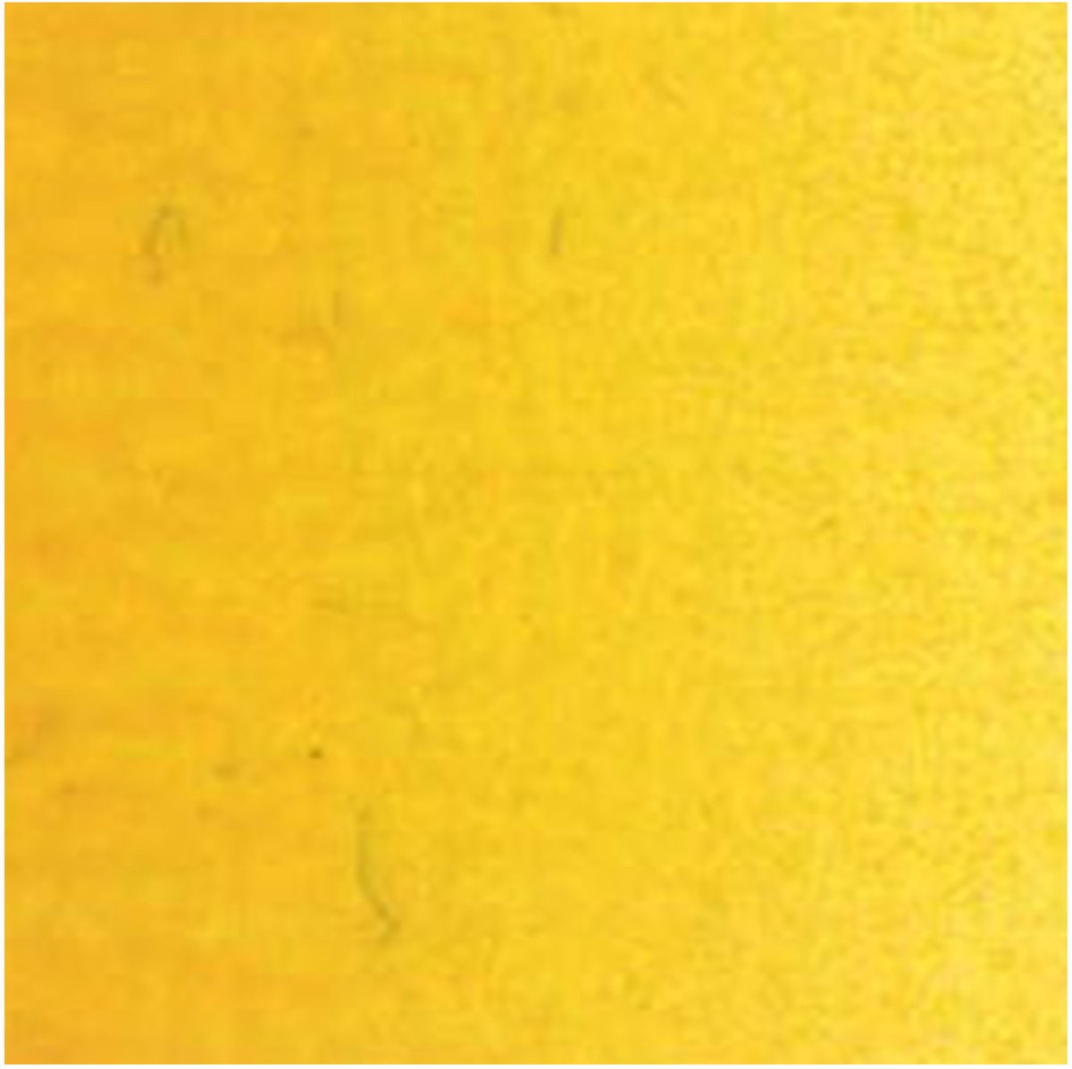 Tube de peinture à l'huile Van Gogh - 40 ml 244 jaune indien