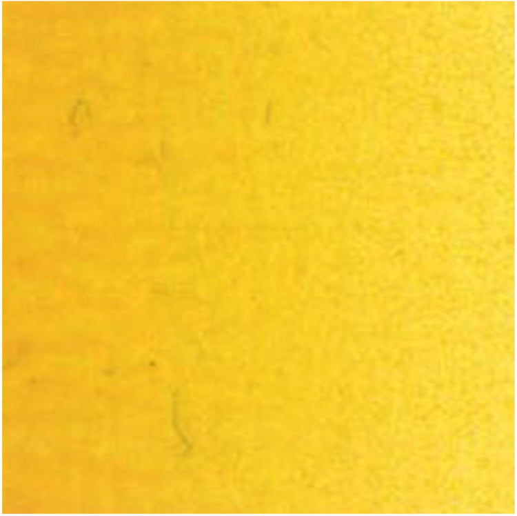 Tube de peinture à l'huile Van Gogh - 40 ml 244 jaune indien