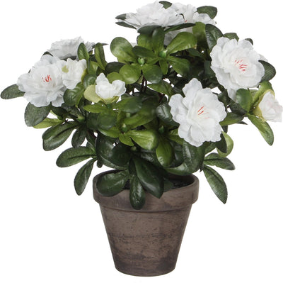 Plante artificielle azalea blanc dans le pot