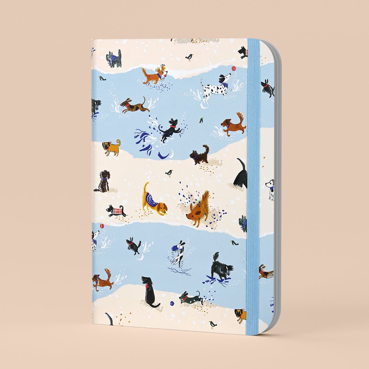 Journal des chiots ludiques de Peter Pauper
