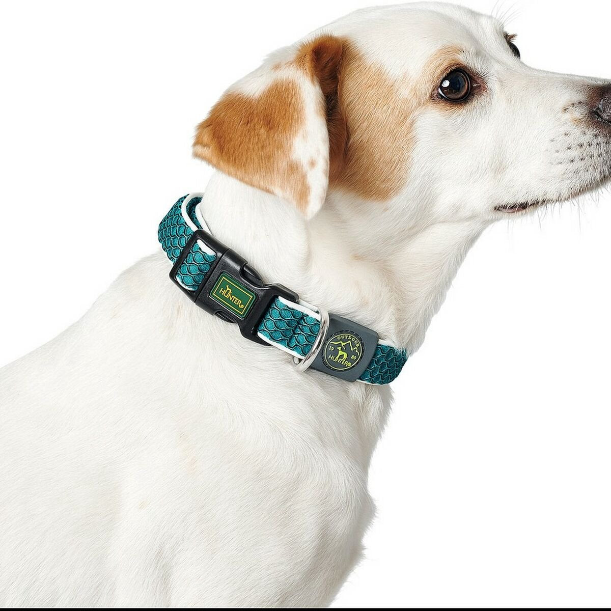 Collier pour chien Hunter fil de base bleu taille m (33-50 cm)