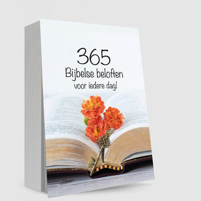 Brandless sans marque 365 promesses bibliques