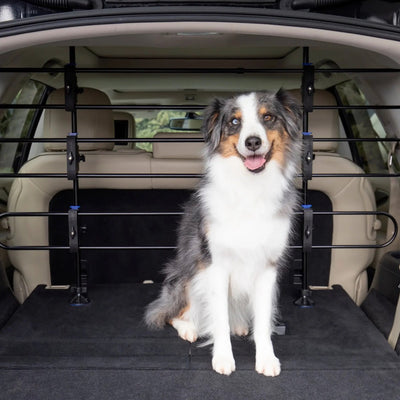 Barrière pour chien en métal Petsafe happy ride - cadre métallique sécurisé pour le coffre de la voiture - aucun outil requis - sans hochet