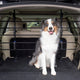 Barrière pour chien en métal Petsafe happy ride - cadre métallique sécurisé pour le coffre de la voiture - aucun outil requis - sans hochet