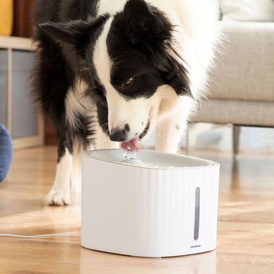 Fontaine à boire Innovagoods pour animaux de compagnie Drinkatt
