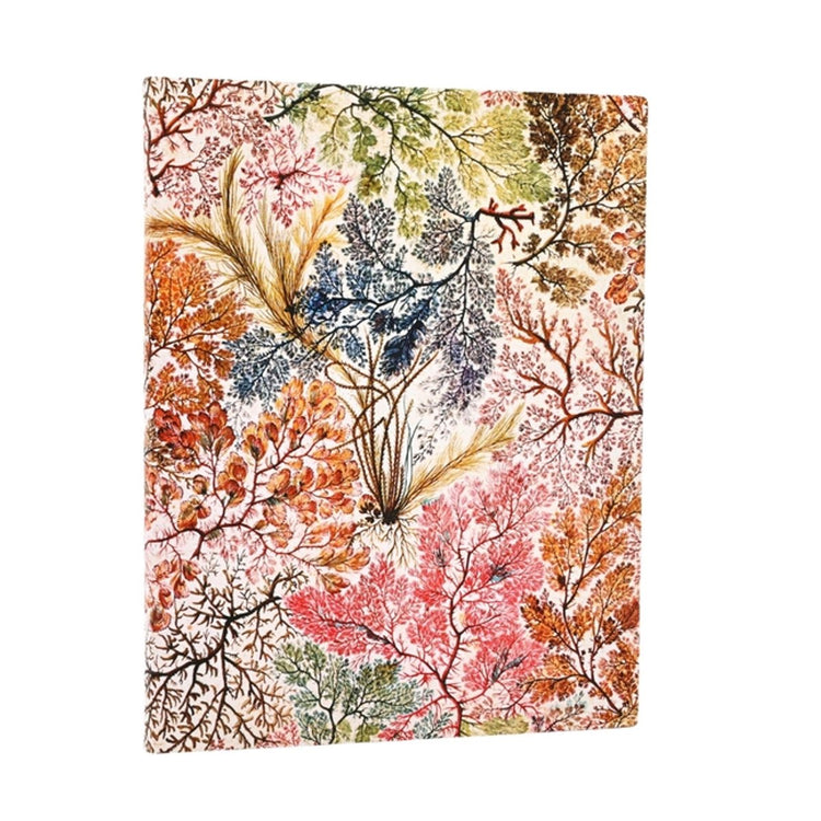 Paperblanks Anémone William Kilburn Couverture souple Flexis Ultra doublé Bande élastique 176 pages 100 g/m²