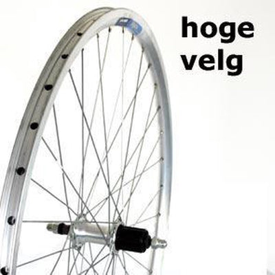Roue arrière Roland 28 argent Cats 8V ALU V-Profile