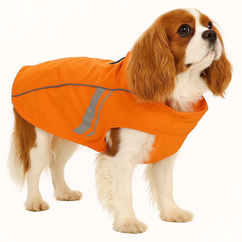 Manteau pour chien Flamingo – imperméable pour chien – imperméable pour chien avec reflet – imperméable pomi orange – 45 cm