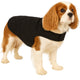 Manteau pour chien Flamingo – Bonnie – manteau pour chien – vestes d'hiver pour chien – manteau imperméable pour chien – 40 cm – a:40cm b:34-40cm c:54-60cm – noir