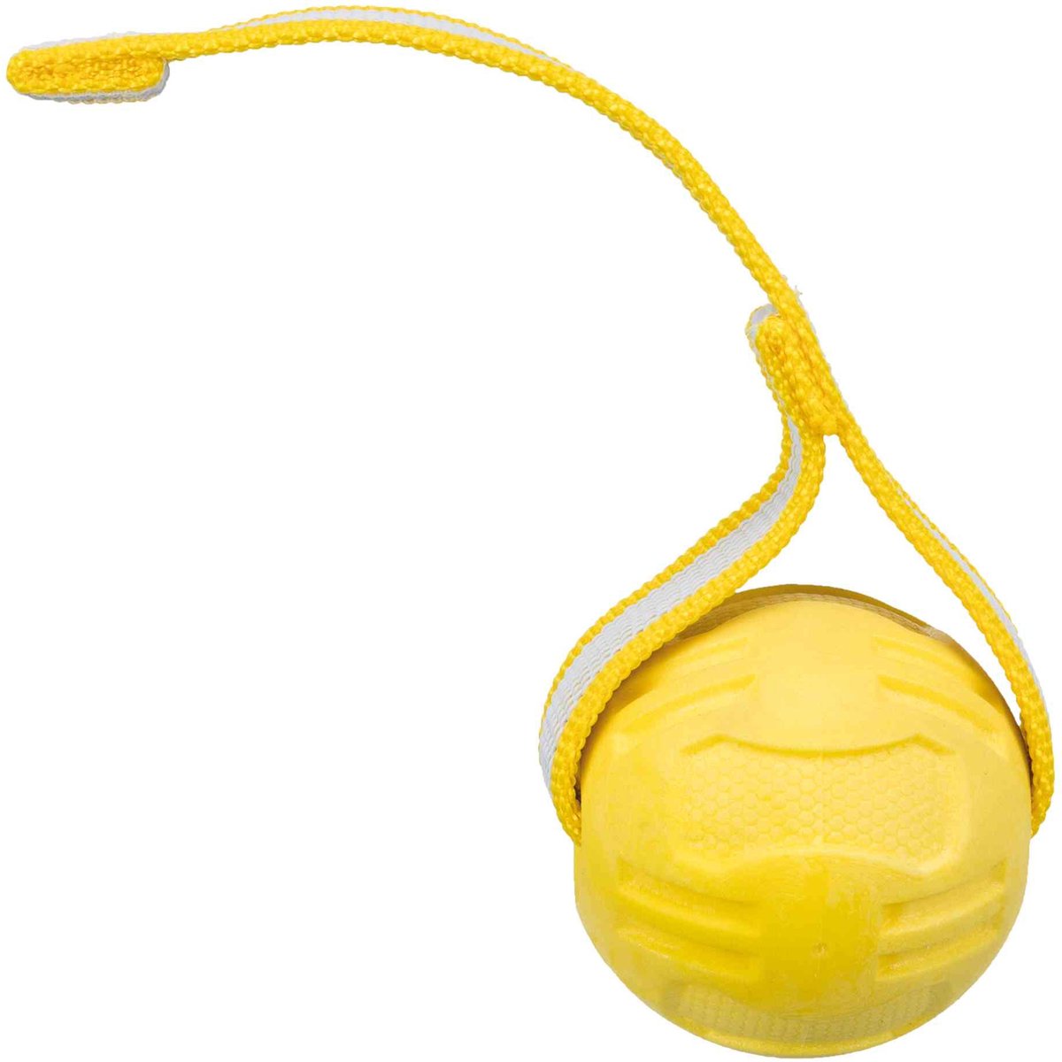 Trixie Sportball chez Lint TPR Floating Assorti