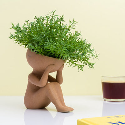 Plantes Winkee dans mon pot de fleur principal