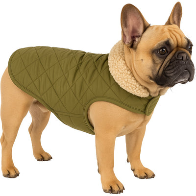 Manteau pour chien Flamingo – Bonnie – manteau pour chien – vestes d'hiver pour chien – manteau imperméable pour chien – 35 cm – a:35cm b:34-38cm c:50-54cm – vert