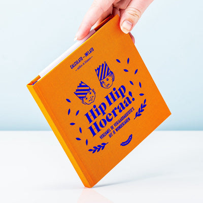 Stratier Publisher - hip hip hourra ! - livre à remplir - les années merveilleuses - anniversaire