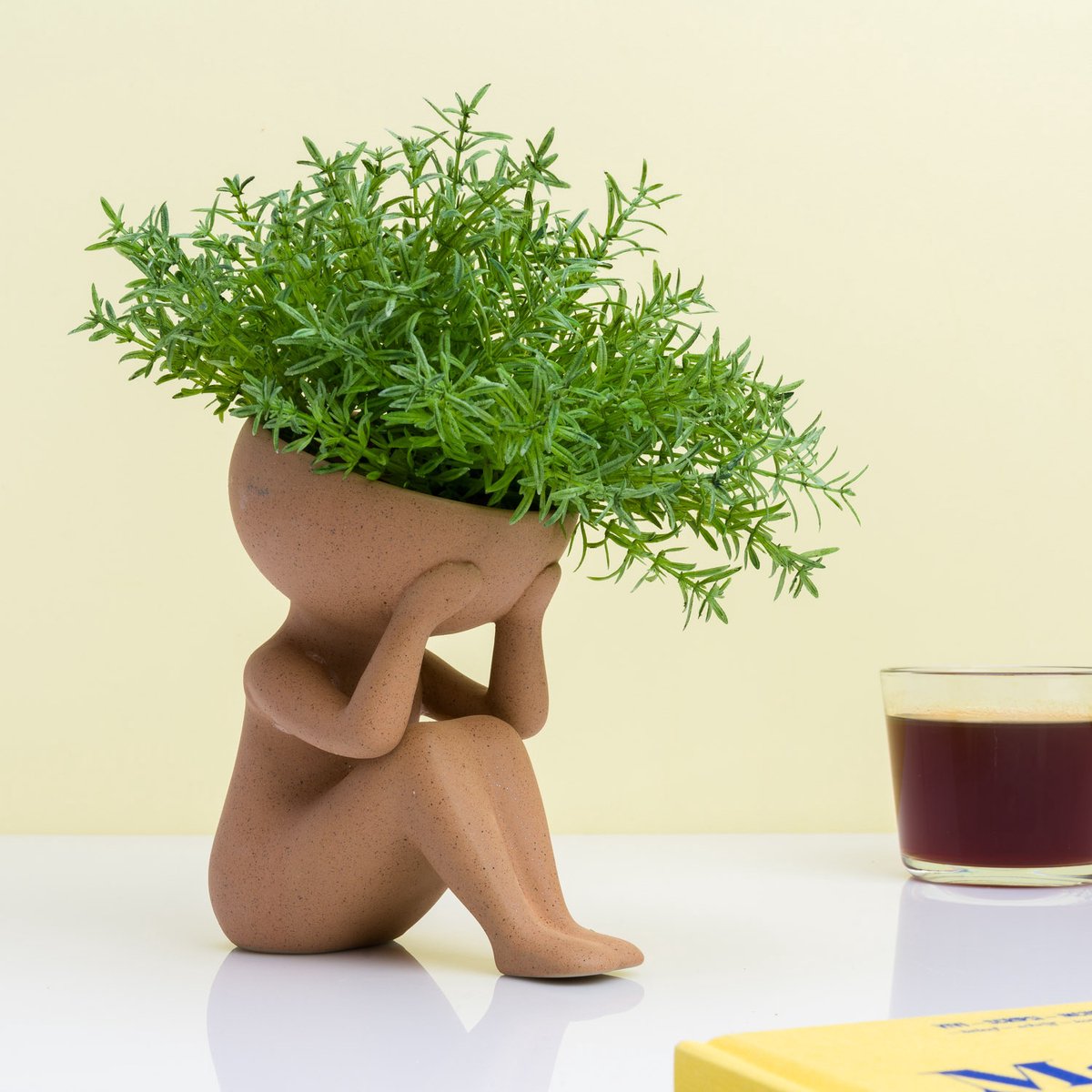 Plantes Winkee dans mon pot de fleur principal