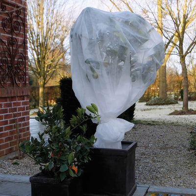 Nature Nature Hiver Cover 30 g m² 2x5 m blanc