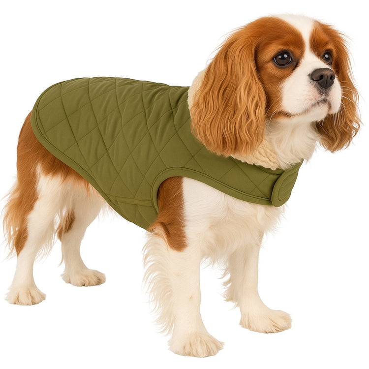 Manteau pour chien Flamingo – Bonnie – manteau pour chien – vestes d'hiver pour chien – manteau imperméable pour chien – 40 cm – a:40cm b:34-40cm c:54-60cm – vert