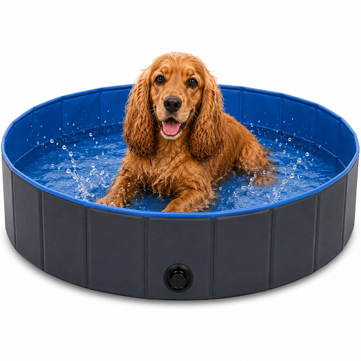 Piscine pour chiens Flamingo - piscine pour chiens - 80 x 20 cm - bleu gris foncé - piscine pliable pour chiens - splash