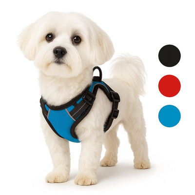 Harnais pour chien Flamingo - harnais pour chien - harnais pour chien anti traction - harnais pour chien - harnais pour chien anti traction - balou - bleu - taille s - a:31-55cm b:40-55cm