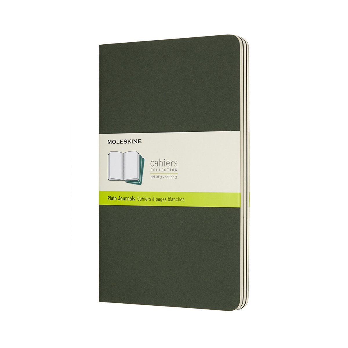 Carnets Moleskine - grand - vierge - vert - lot de 3